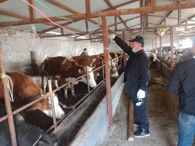 禾木乡开展牲畜春季疫苗注射